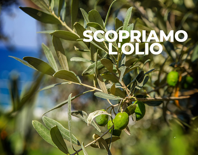 Evento-Scopriamo-l'Olio-Nure-(1)