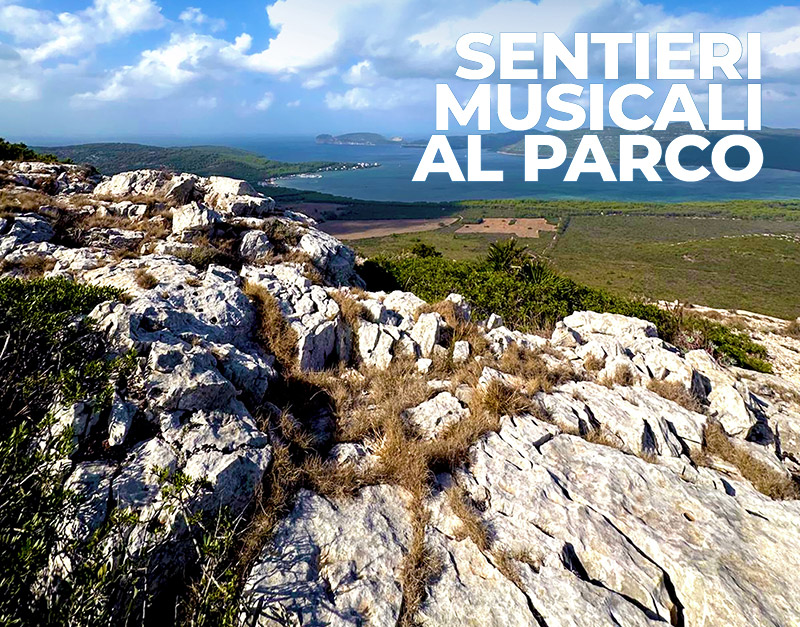 Evento-post-Sentieri-Musicali