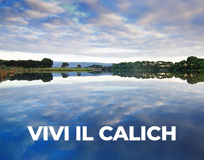 Banner Vivi il Calich